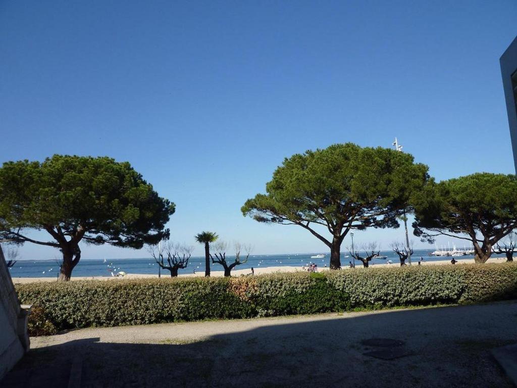 une plage avec des arbres et l'océan en arrière-plan dans l'établissement Appartement en Centre-Ville avec Terrasse et Parking, Accès Direct à la Plage - FR-1-474-4, à Arcachon
