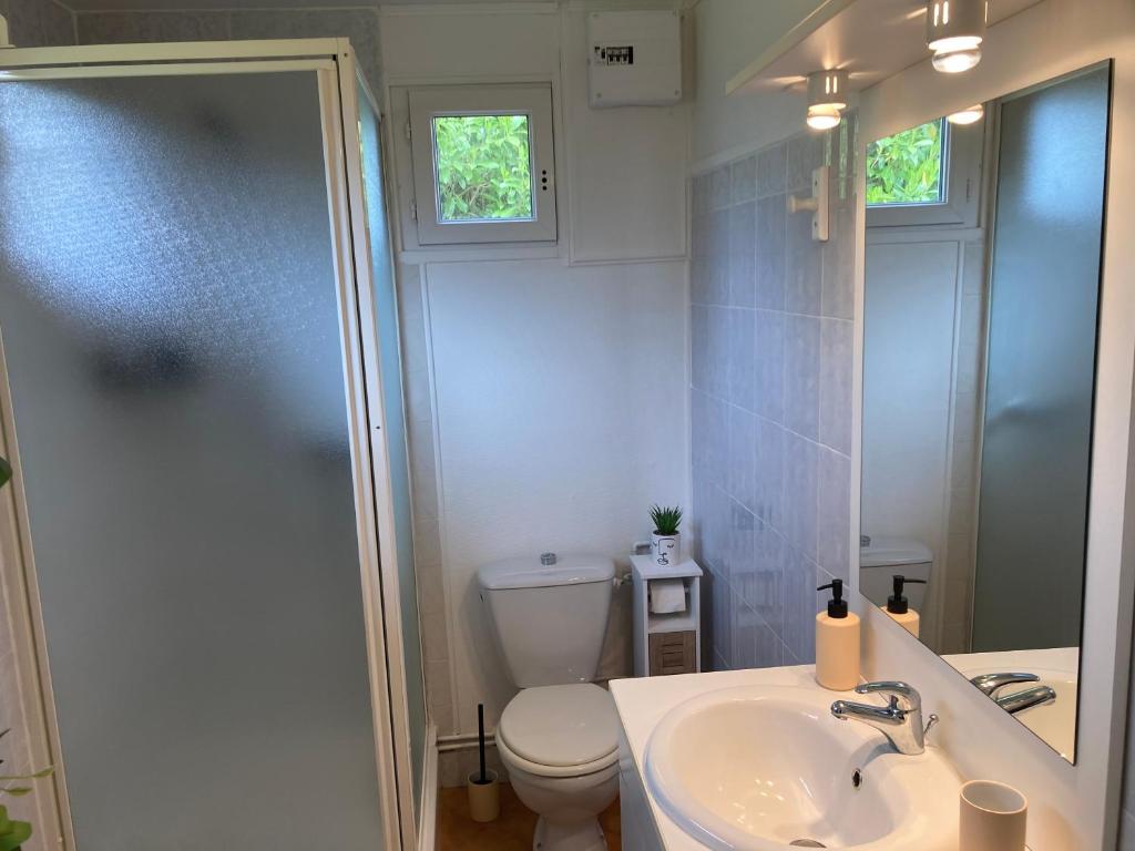 Koupelna v ubytování Gîte de Blay