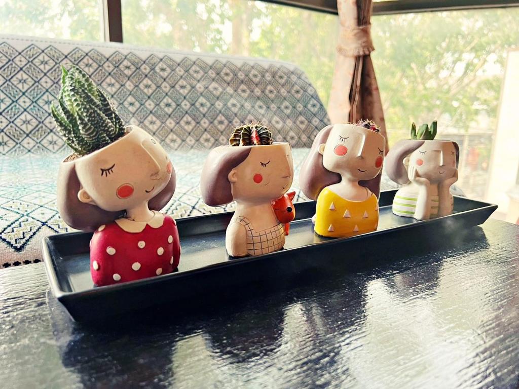 Blue Dream Guesthouse in Chiang Mai