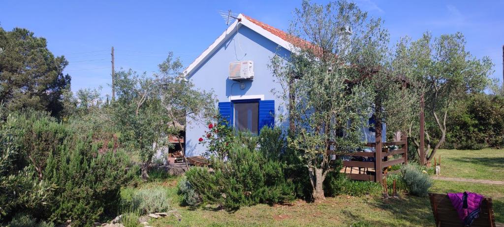 ein blau-weißes Haus auf einem Feld mit Bäumen in der Unterkunft Holiday home Mola in Ugljan