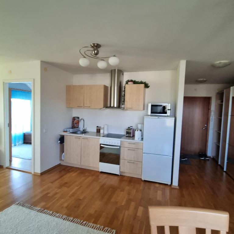 Kuchyň nebo kuchyňský kout v ubytování Juuli apartament