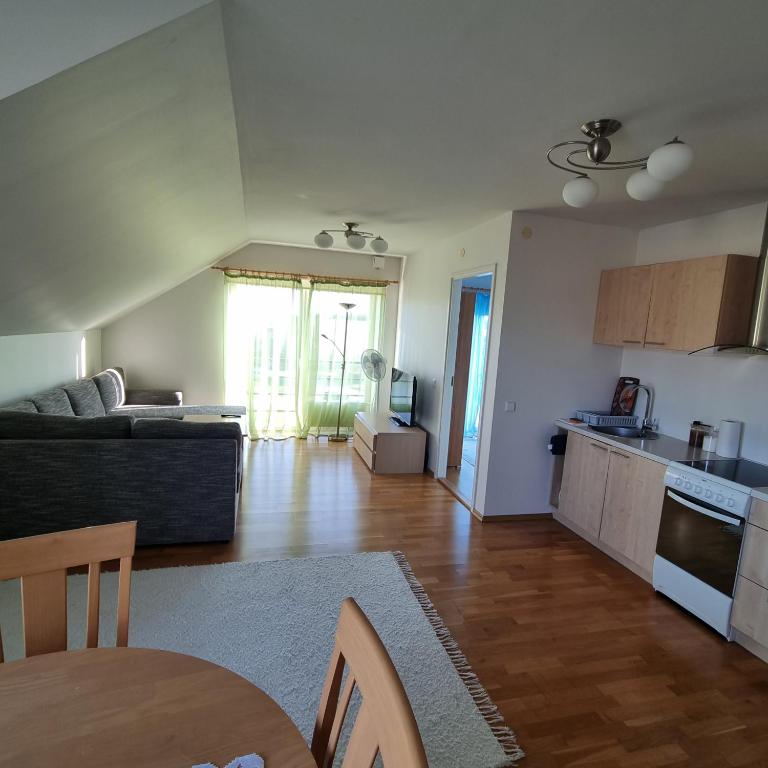 Kuchyň nebo kuchyňský kout v ubytování Juuli apartament