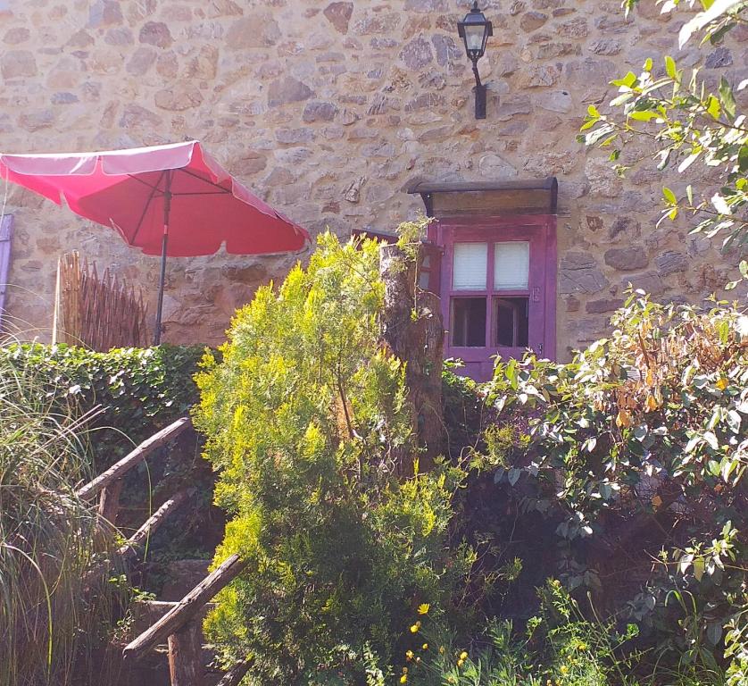 Zahrada ubytování L'ANGOLINO, Casale vita nova