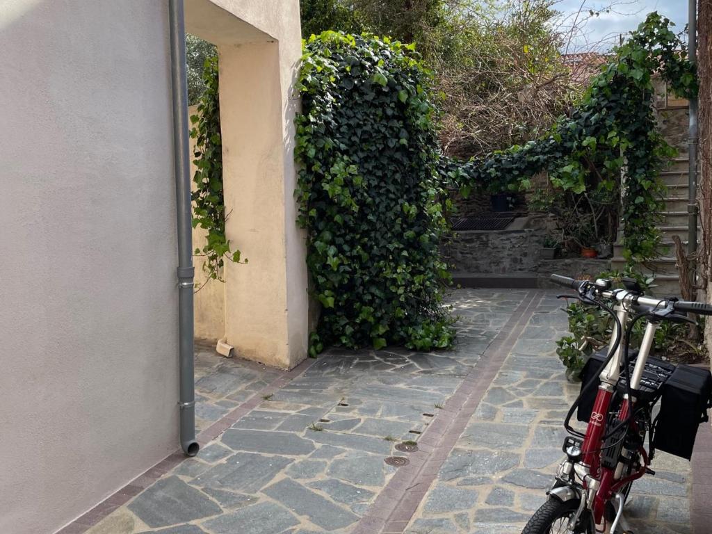 una bicicleta roja estacionada al lado de un edificio en Studio Collioure, 2 pièces, 4 personnes - FR-1-309-153, en Collioure