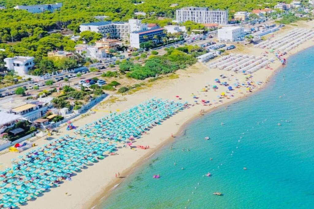 - une vue aérienne sur une plage dotée de chaises et de parasols dans l'établissement VILLA ZOND - a pochi passi dal mare bandiera blu, à Castellaneta Marina