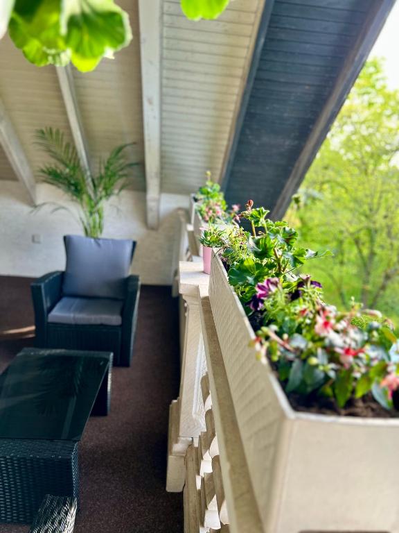 a balcony with some plants and a chair and a window at Pension Marco in Trendelburg