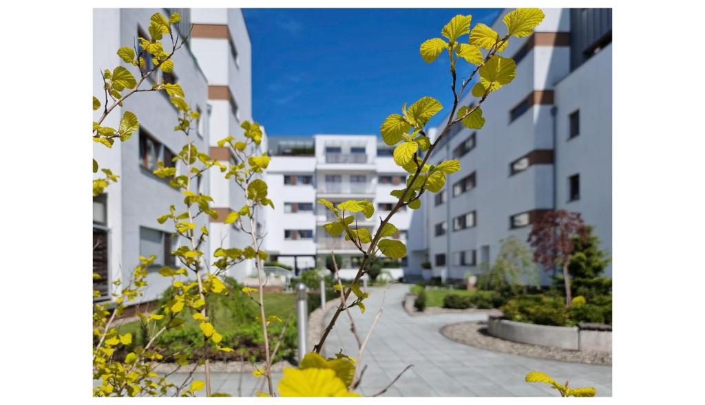 Budynek, w którym mieści się apartament