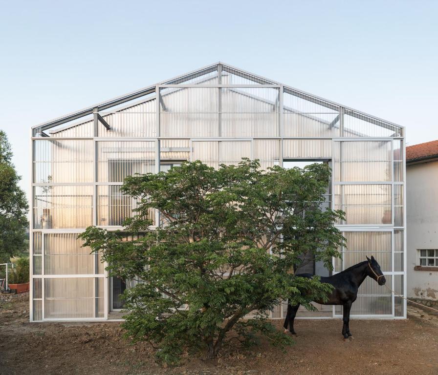 un cheval debout devant une serre de verre dans l'établissement Anonima Agricola, à Orbetello