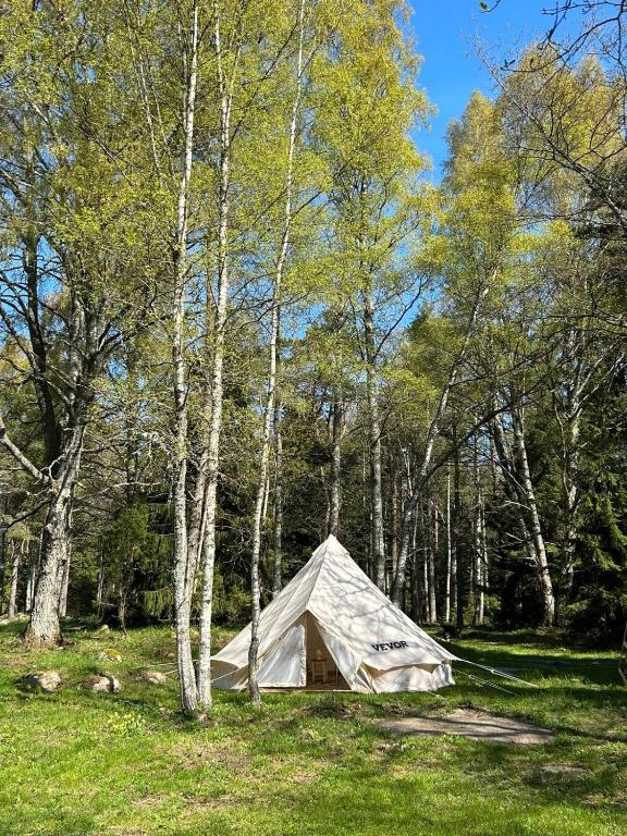 Loodusmaastik külalistemaja lähedal