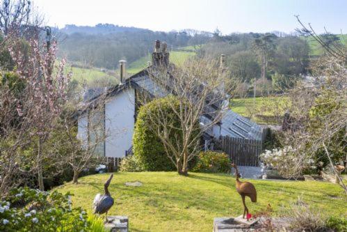 two birds standing in the yard of a house at Mythra Cottage in Stokenham