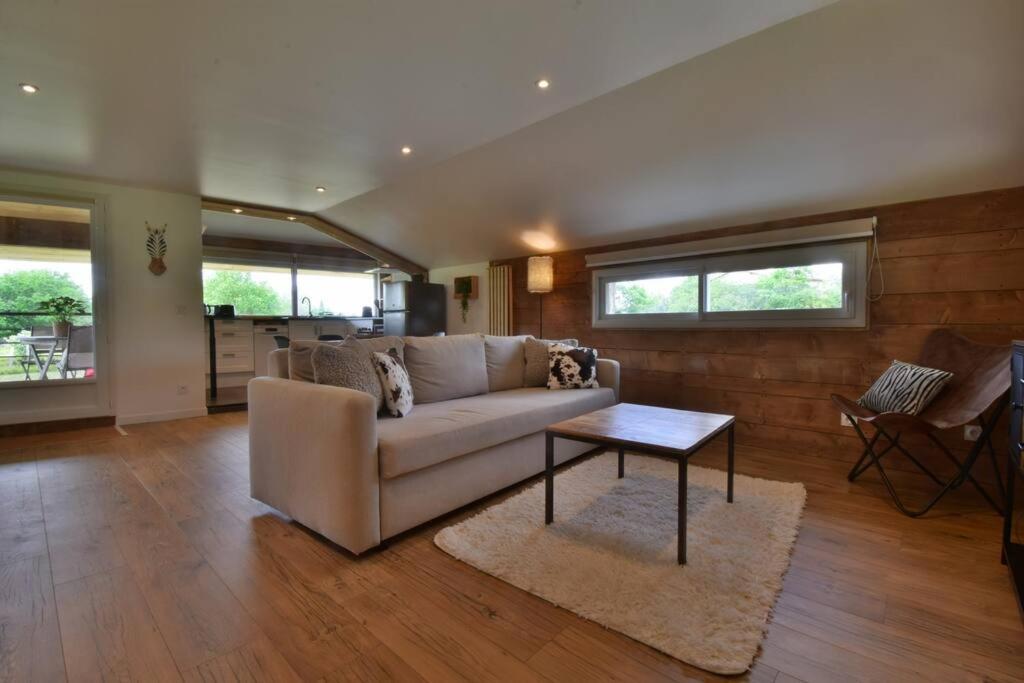 sala de estar con sofá y mesa en Le Refuge Confortable gîte avec terrasse, en Castelnau-sur-lʼAuvignon