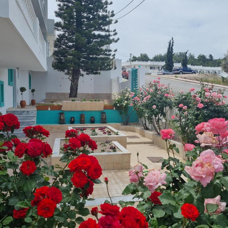 Arocaria - Faliraki peaceful apartments - 2