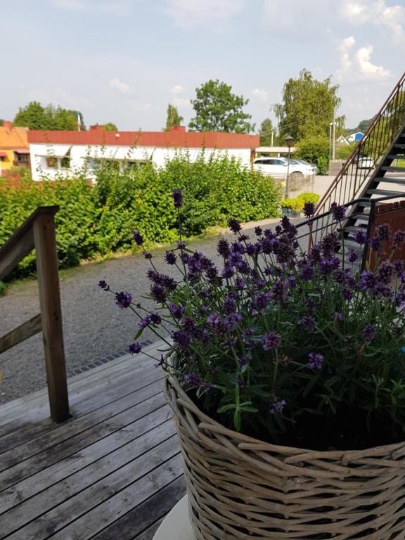 a basket of purple flowers on a wooden deck at Stationsterrassen 7, rum 704 in Båstad