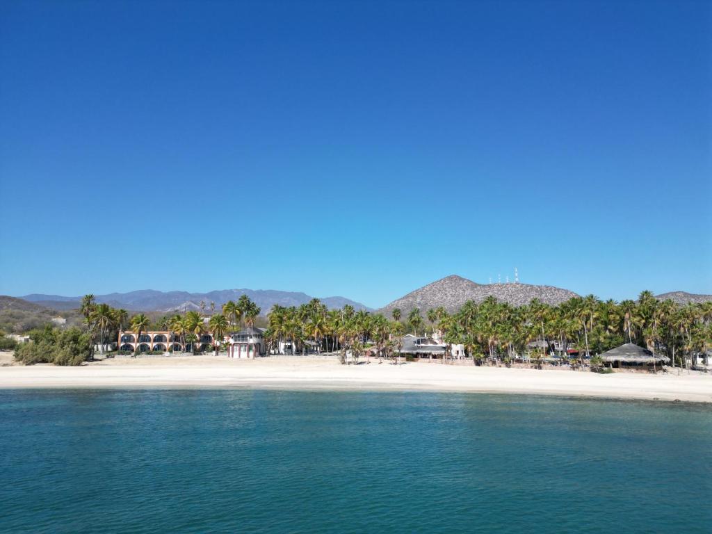 a beach with palm trees and a white beach at Hotel Rancho Buenavista in Los Barriles