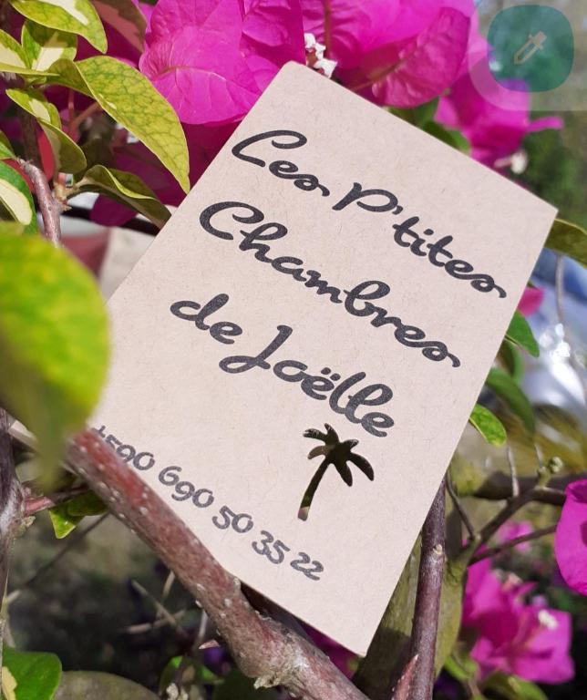 Fotografie z fotogalerie ubytování P'tites chambres dans la campagne de Marie Galante v destinaci Grand-Bourg