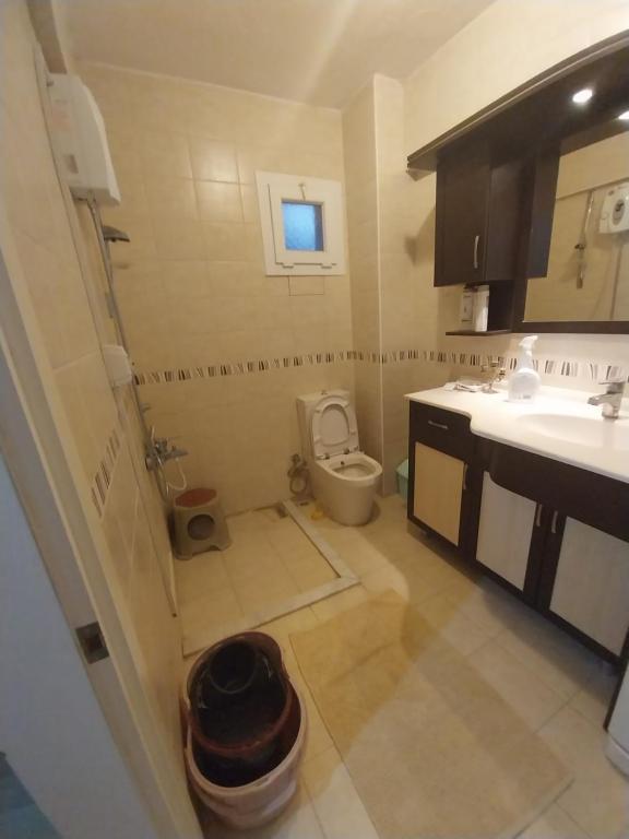uma casa de banho com um WC e um lavatório em Arko sitesi em Karaburun