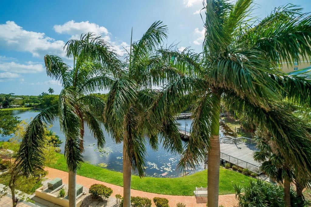 two palm trees in front of a body of water at 314S Nautical Beach Suite - 2 Beds!, Pools, Jacuzzi, Beach, Shops & Dog Friendly in Boynton Beach