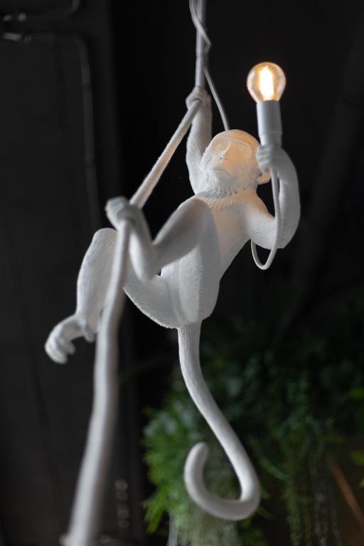 Hotel Zoo by Afrykarium Wroclaw - Resim 40