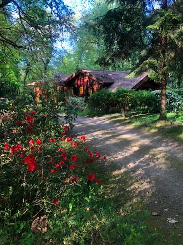 une maison avec des fleurs rouges en face d'une route dans l'établissement Chambre d'hôte txaleta (le Chalet), à Saint-Priest-sous-Aixe