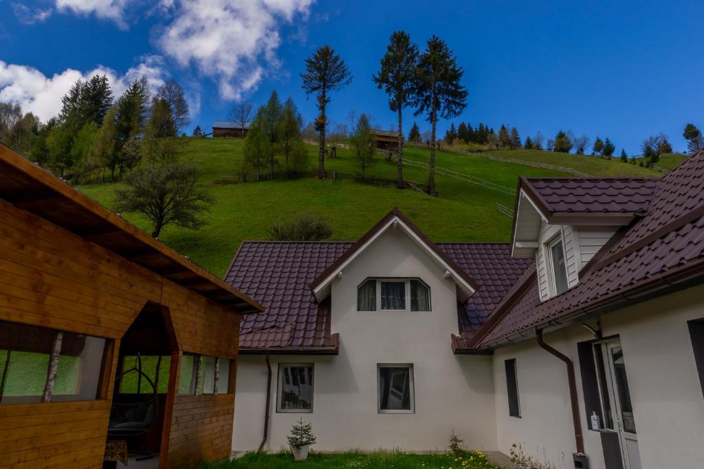 una casa con una collina verde sullo sfondo di Vila Rustica a Moieciu de Sus