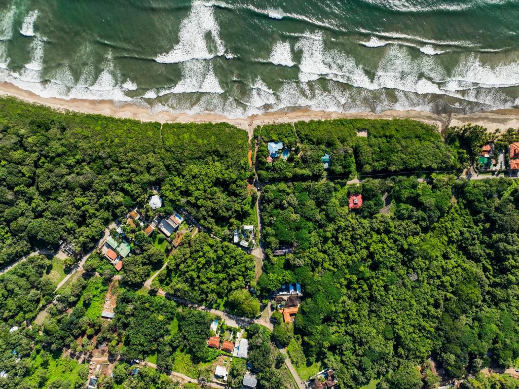 una vista aérea de una casa en el bosque junto al océano en Villas El Beach Club, en Santa Cruz