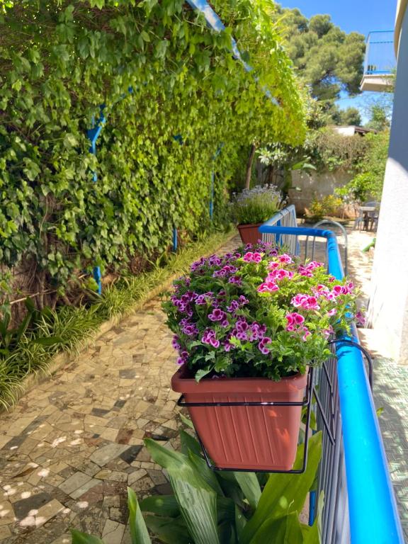 una fila di vasi di fiori appesi a una ringhiera di Villa Savoia Mondello a Mondello