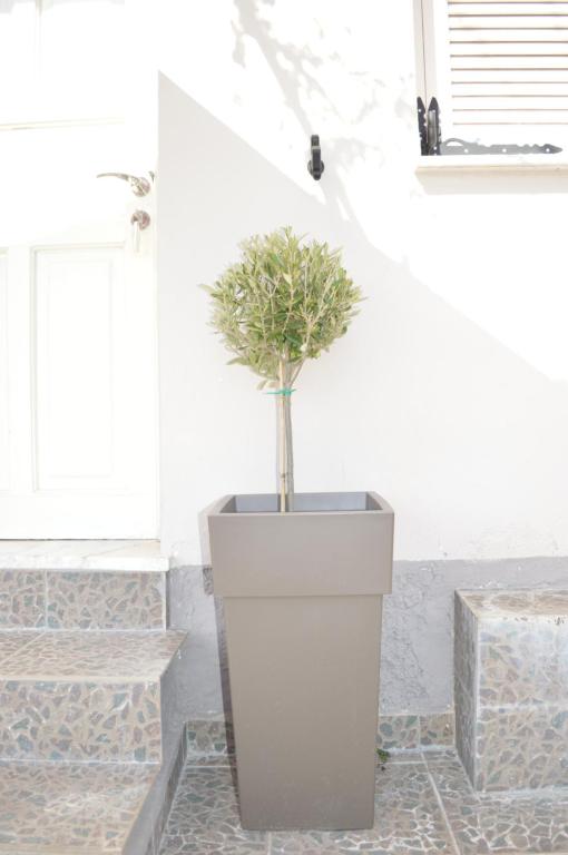 Fotografie z fotogalerie ubytování Athina studios v destinaci Ipsos