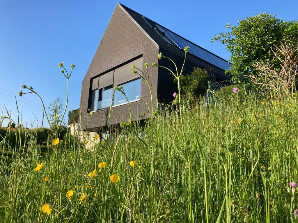 a house in the middle of a field of grass at LOGIS125 I Barbara Hofmann in Gamlitz