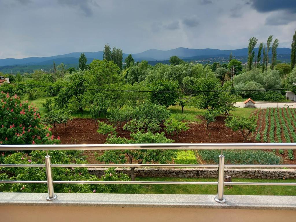 Příroda nedaleko apartmánu
