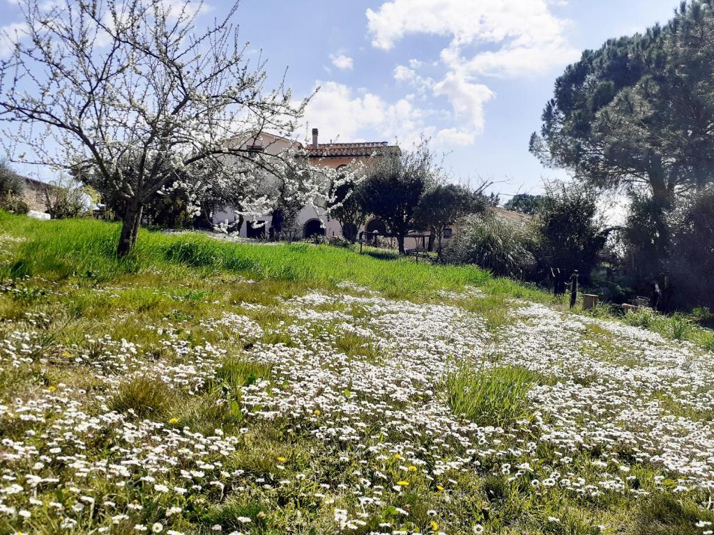 Zahrada ubytování Borgo de' Muracci