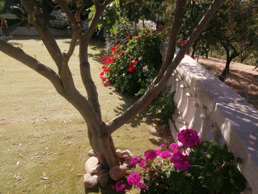 A garden outside Agriturismo Vemi