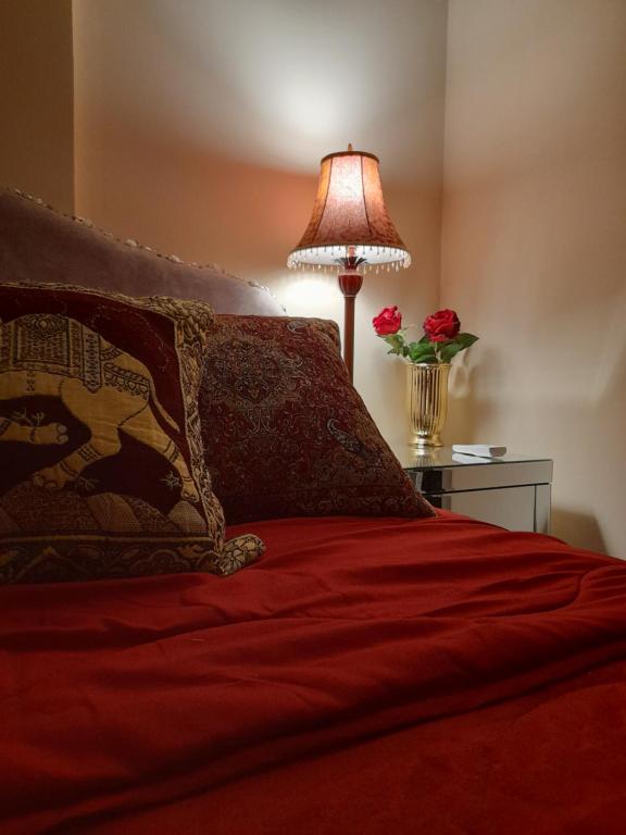 a bedroom with a red bed with a lamp and roses at TeriTara in Čačak