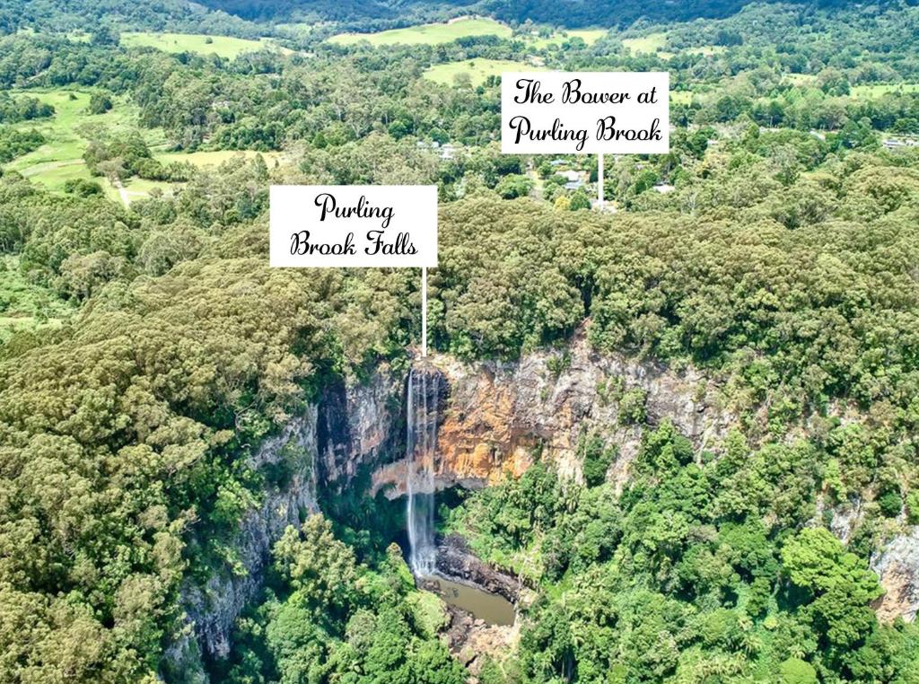 two signs that say the blower of pudding hook and pulling shock falls at The Bower at Purling Brook in Springbrook