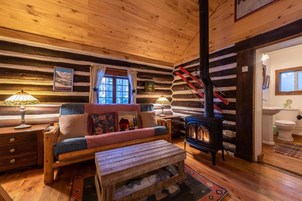 un soggiorno con divano e stufa a legna. di Pioneer Guest Cabins a Crested Butte