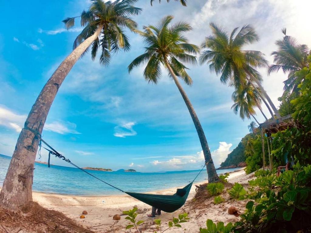 een hangmat tussen twee palmbomen op een strand bij Redang Campstay A Frame in Redang Island