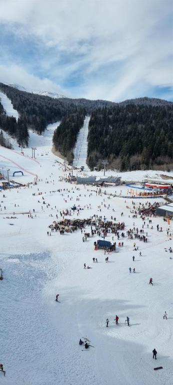 Winter Park Residence Bjelasnica - İki Yatak Odalı Daire