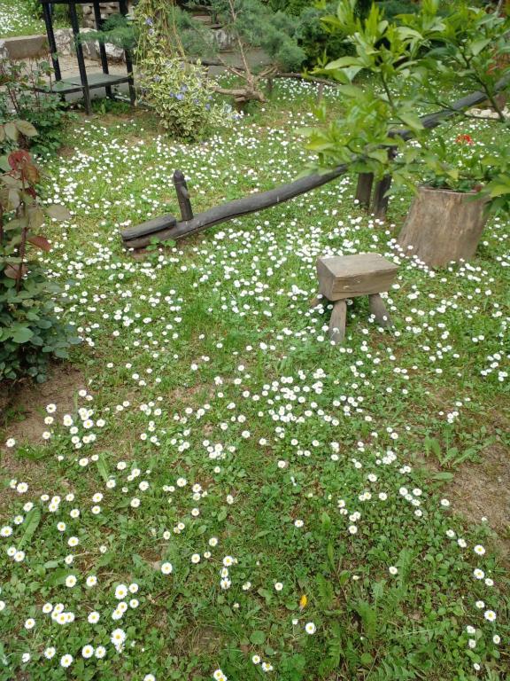 a bench sitting in the grass with white flowers at Skriveni raj in Vrdnik