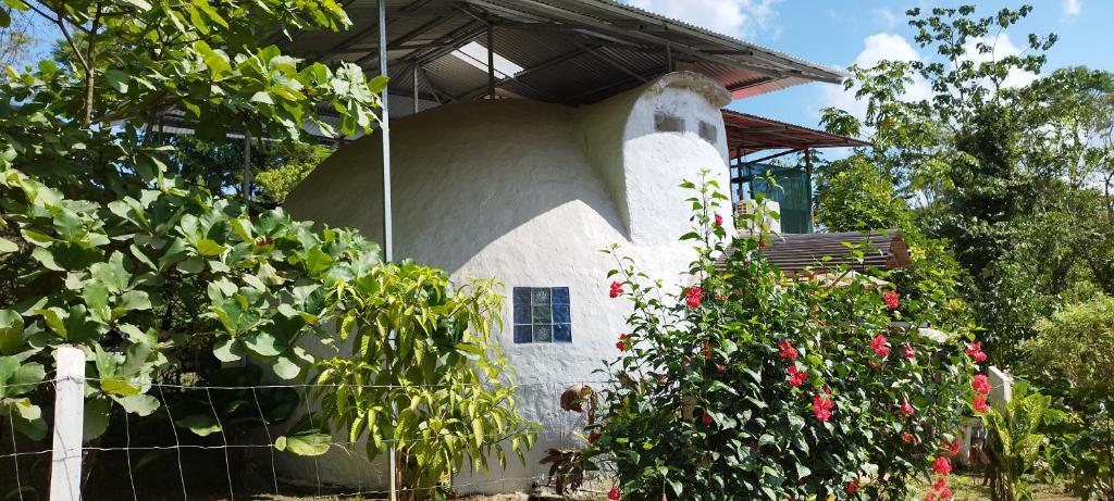 budynek z kwiatami przed nim w obiekcie Domito Corcovado w mieście Bahía Drake