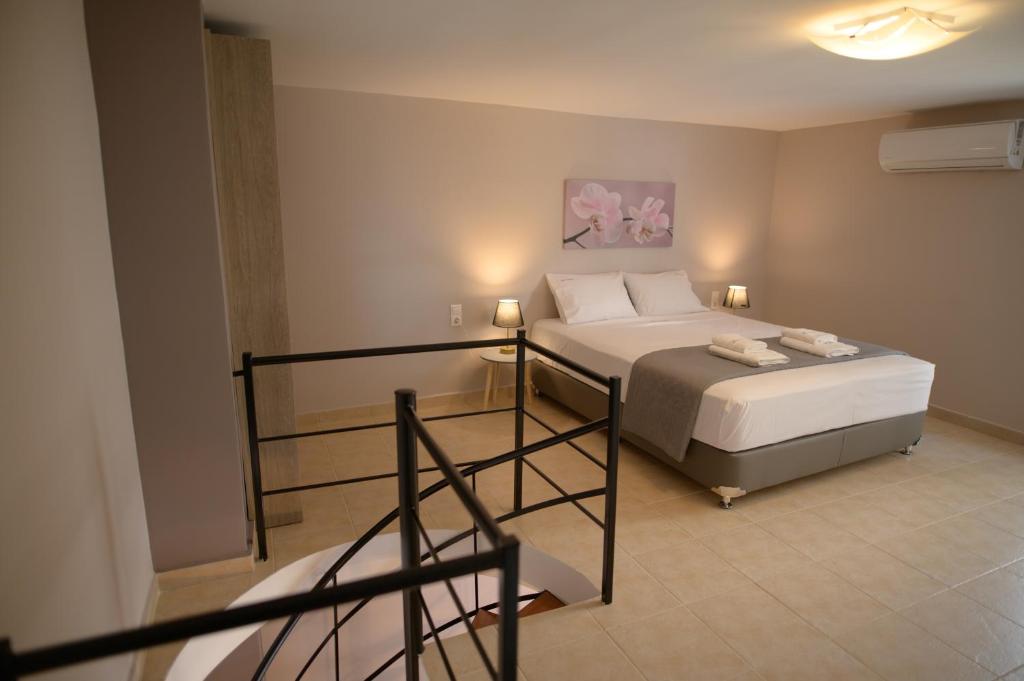 Amaryllis Maison Emporiou - 15