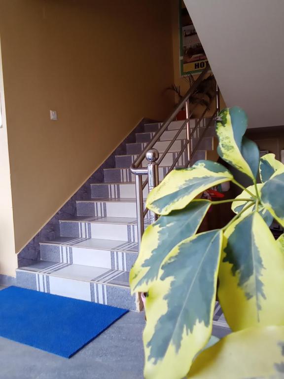 Kép Hotel Mirage Sauraha szállásáról Saurahában a galériában