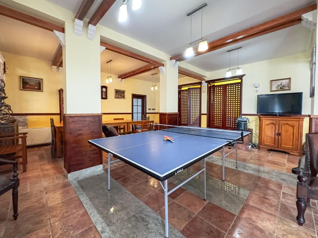 Herní místnost v ubytování Apart-hotel Villa Lav