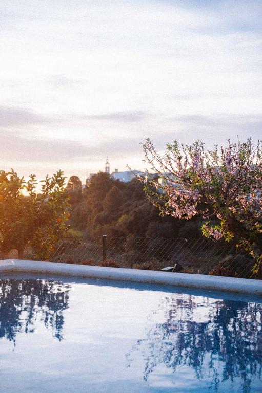 a swimming pool with a tree in the background at Riurau de Maria in Parcent