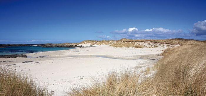 een strand met zand en de oceaan op een zonnige dag bij Stylish 2 bed flat at Camber Sands in Camber