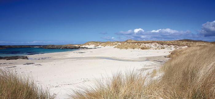 a beach with sand and the ocean on a sunny day at Stylish 2 bed flat at Camber Sands in Camber