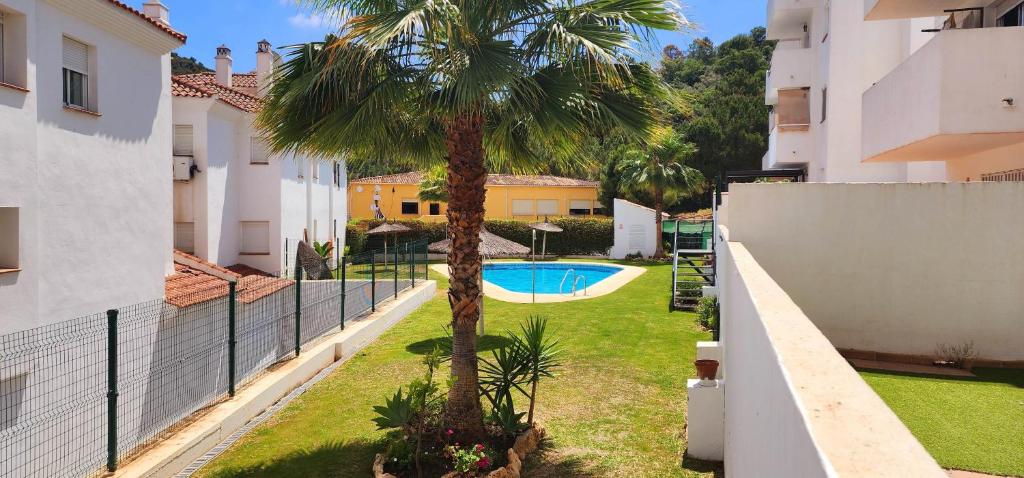un appartement avec un palmier et une piscine dans l'établissement Bajo con Jardín Deluxe, à Benahavís