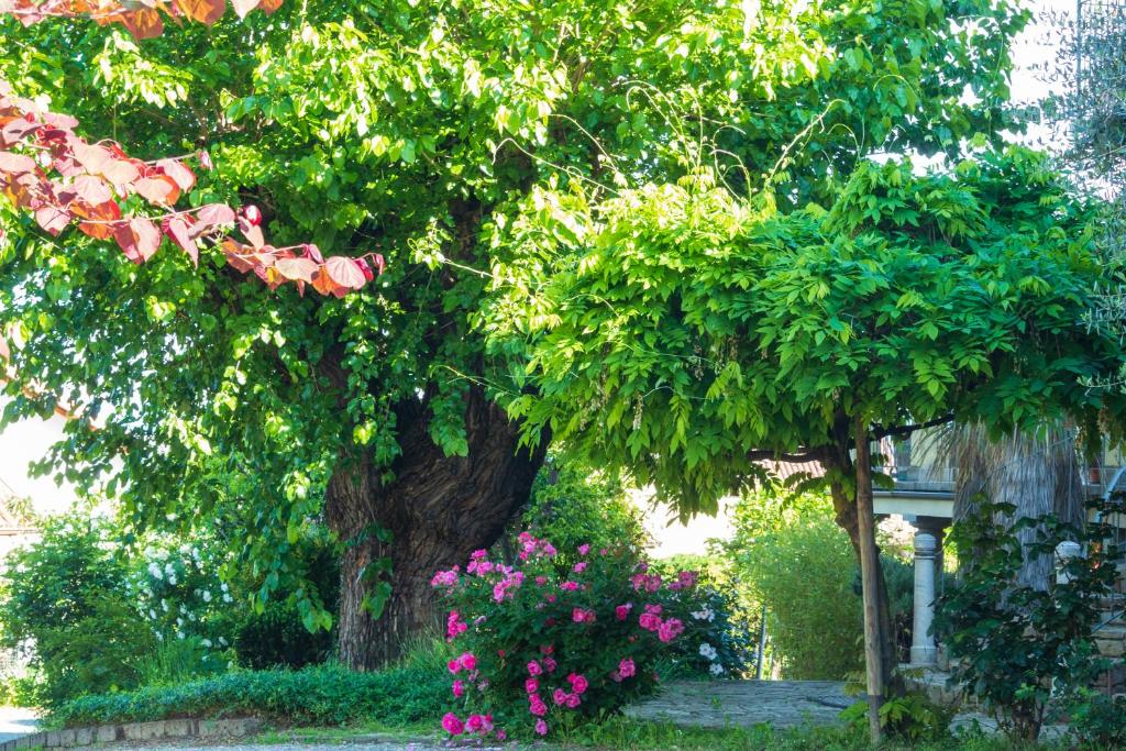 A garden outside Alba Morus