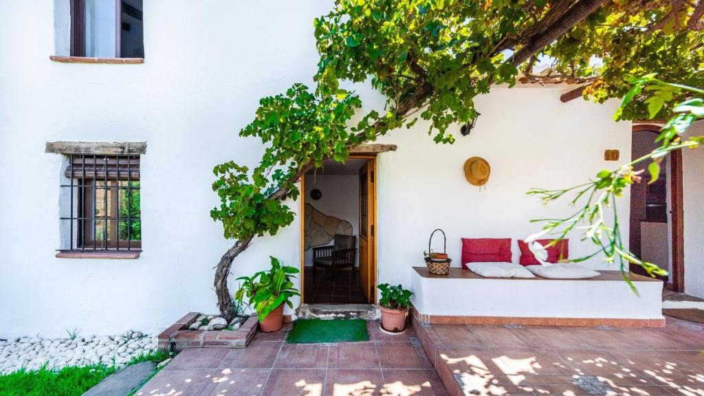 Zahrada ubytování Cortijo Maravilla Frigiliana by Ruralidays