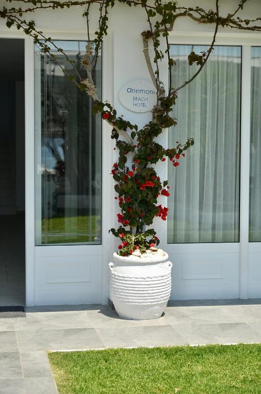 Zahrada ubytování Anemoni Beach Hotel