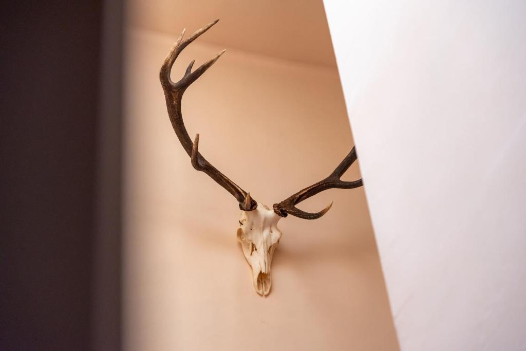 Fotografie z fotogalerie ubytování Hôtel Le Cor de Chasse v destinaci Saint-Hubert
