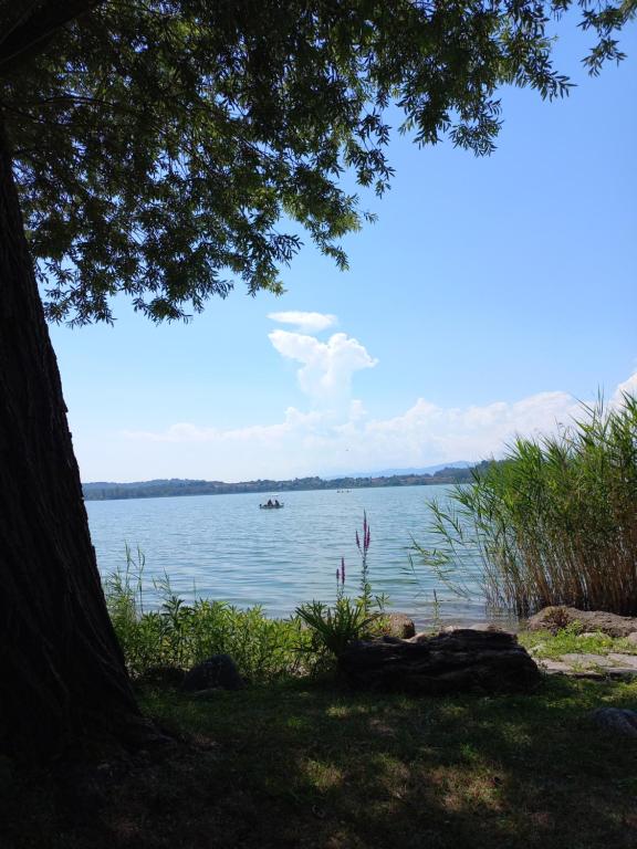 vista su un lago con una barca in acqua di APPARTAMENTO MIRALAGO a Gavirate